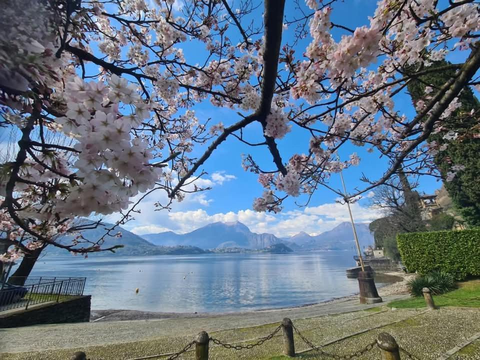 Laura'S Cottage With Lake View, Detached, 5 Kilometers From Varenna Lierna Eksteriør billede