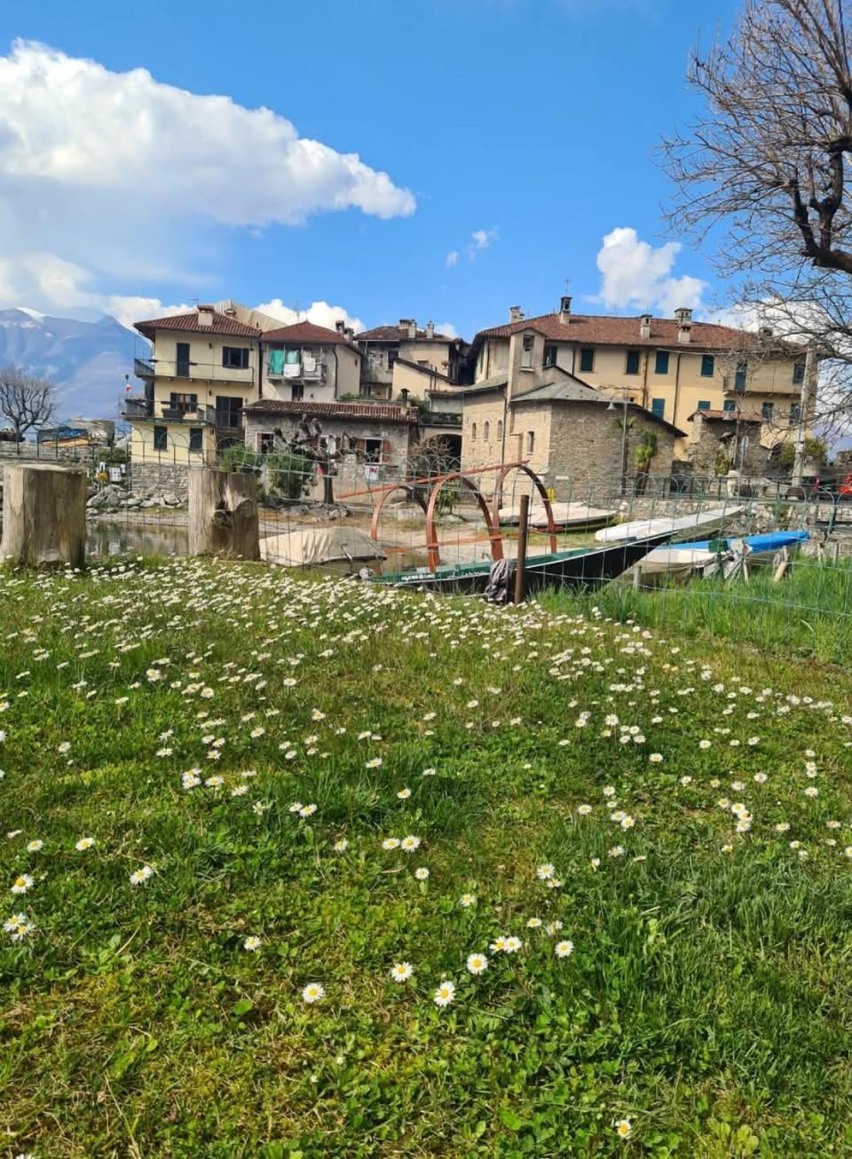 Laura'S Cottage With Lake View, Detached, 5 Kilometers From Varenna Lierna Eksteriør billede